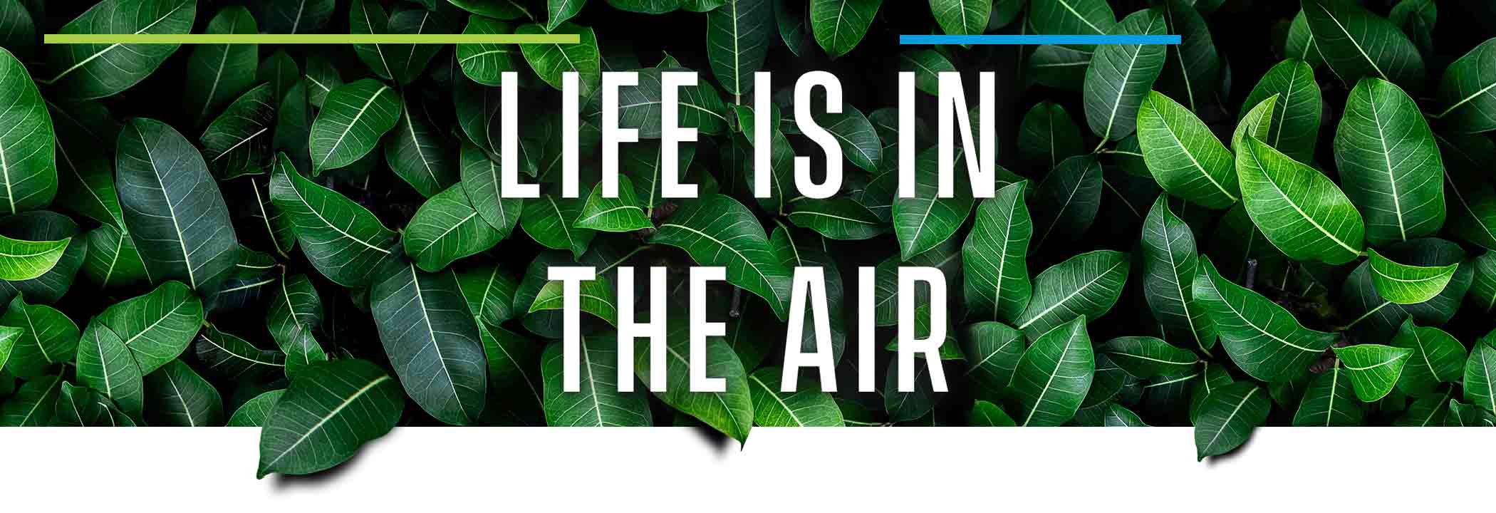 Life in in the air immagine campagna