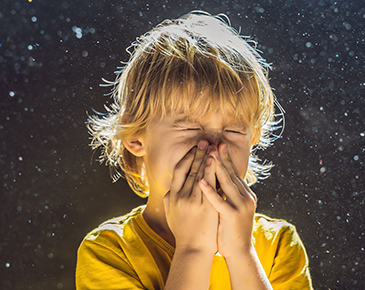 Raumluftqualität und kontrollierte mechanische Lüftung: Ist diese Technologie wirklich notwendig?