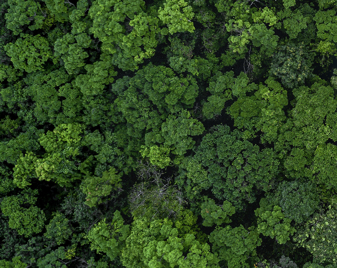 Wärmepumpe R290 und Heizkörper: mehr Effizienz mit Propan